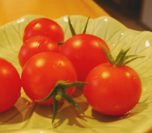 tomatoes 003